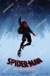 Spider Man: Into the Spider Verse