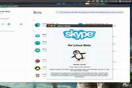 Skype 5.11.0.102 Beta+Final+Portablebobiras2009