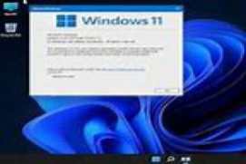 Windows 11 Pro Lite 22H2 b22621.521 x64 Sept 2022 Normal + WinPE