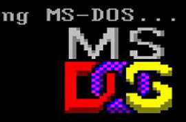 Windows.3.11.and.MS-Dos.6.22